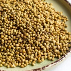 Coriander