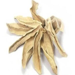 Sabut Amchoor 100 GM