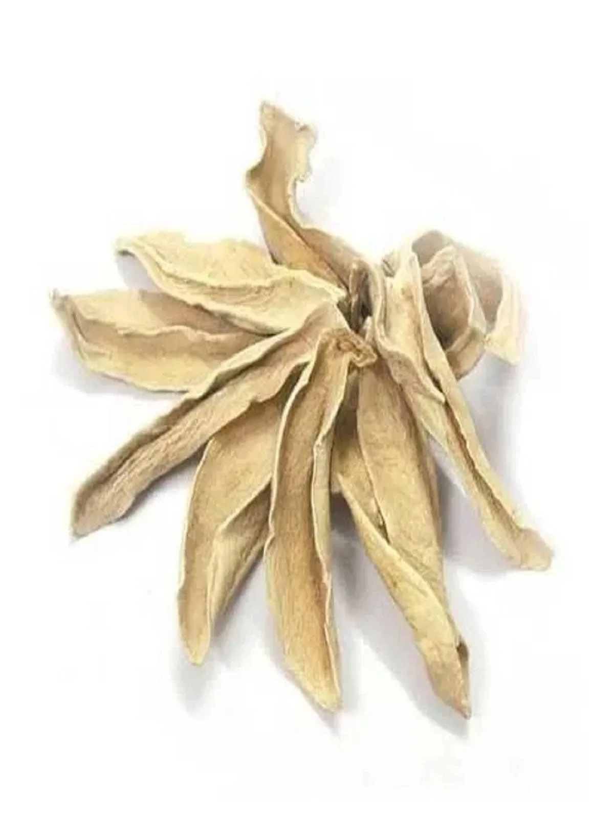Sabut Amchoor 100 GM