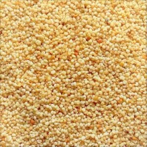 Khuskhus 50 gm