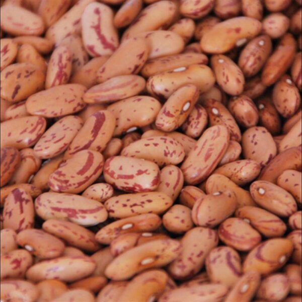 Rajma Chitra 1 kg