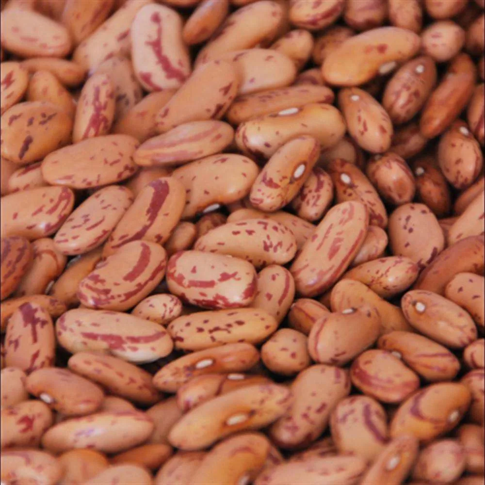 Rajma Chitra