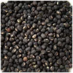 Urad Sabut
