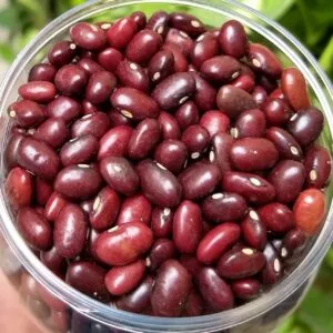 Rajma Lal