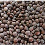 Masoor Black Dal