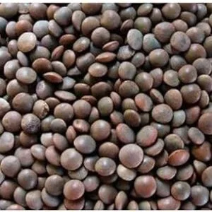 Masoor Black Dal