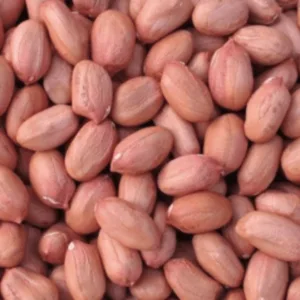 Raw Peanuts