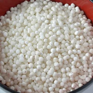 Sabudana 500 g